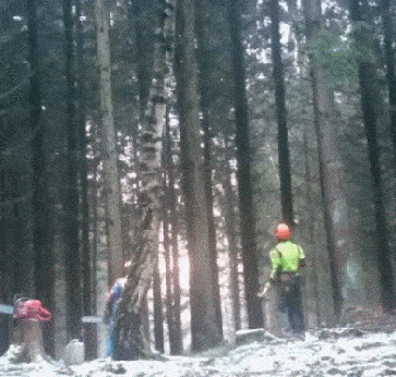 GIFparade XLIX Gifparade-049_20 