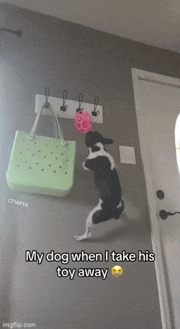 GIFparade XLIX Gifparade-049_22 