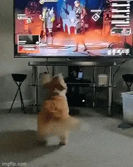 GIFparade XLIX Gifparade-049_23 