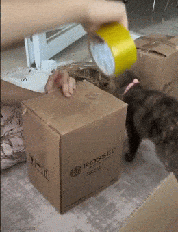 GIFparade XLIX Gifparade-049_38 