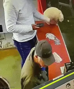 GIFparade LII GIFparade-52_12 