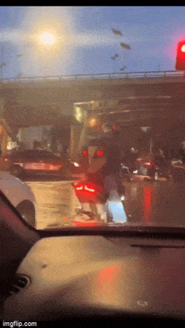 GIFparade LII GIFparade-52_16 