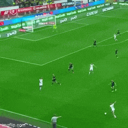 GIFparade LII GIFparade-52_25 