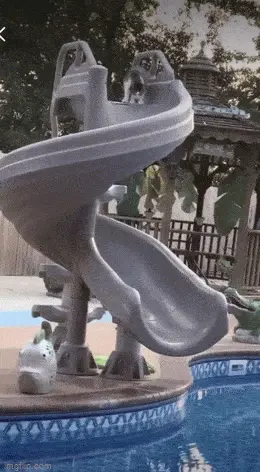 GIFparade LII GIFparade-52_31 