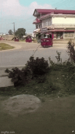 GIFparade LIII GIFparade-53_25 