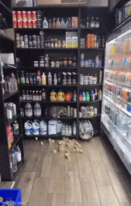 GIFparade LIV GP54_14 