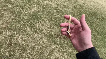 GIFparade LIV GP54_27 