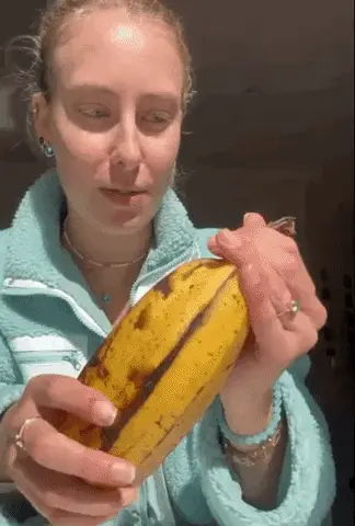 GIFparade LV GP55_23 