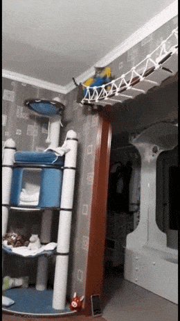 GIFparade LV GP55_27 