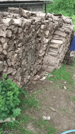 GIFparade LV GP55_29 