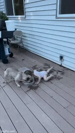 GIFparade LV GP55_33 