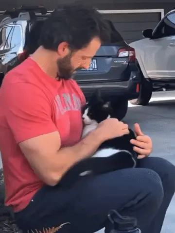 GIFparade LV GP55_34 