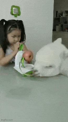 GIFparade LV GP55_36 