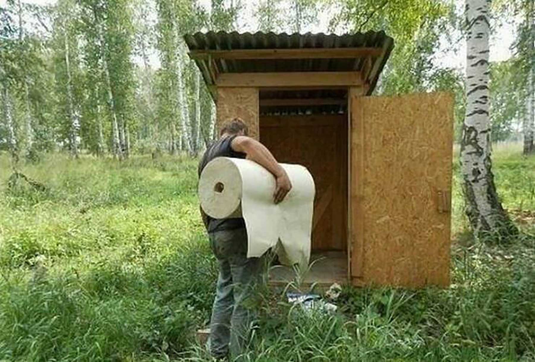 Bilderparade DCCLXXXII