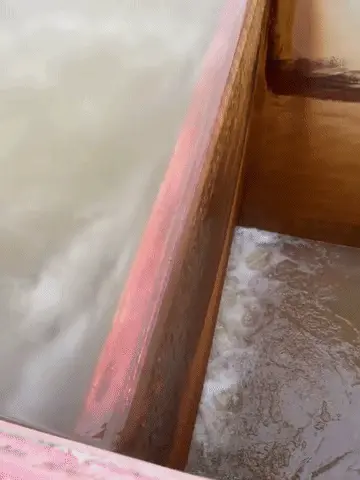 GIFparade LVIII GP-58_13 