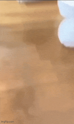 GIFparade LVIII GP-58_14 