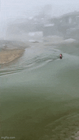 GIFparade LVIII GP-58_24 