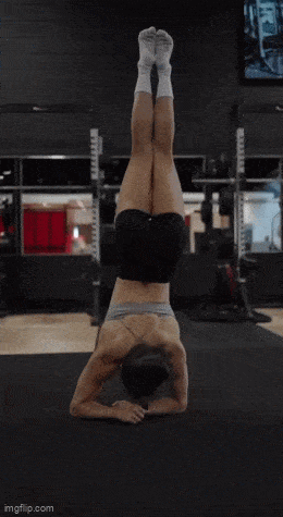 GIFparade LVIII GP-58_37 