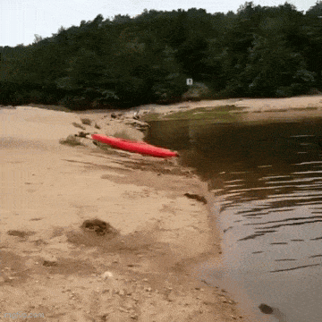 GIFparade LVIII GP-58_39 