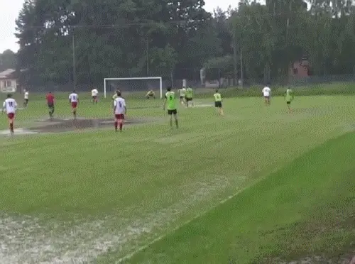 GIFparade LVIII GP-58_41 