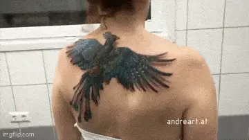 GIFparade LVII GP57_13 