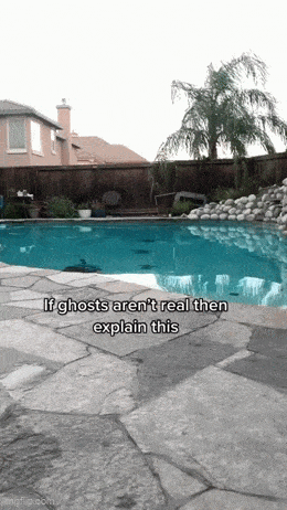 GIFparade LVII GP57_19 