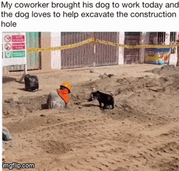 GIFparade LVII GP57_39 