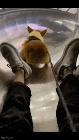 GIFparade LVII GP57_41 