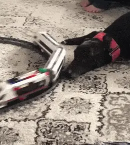 GIFparade LIX GP59_27 