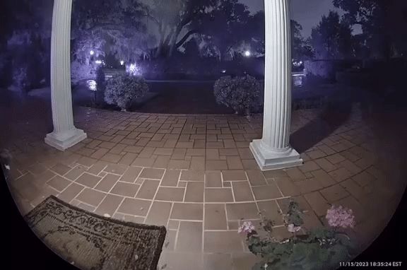 GIFparade LX GP60_11 