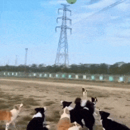 GIFparade LX GP60_18 