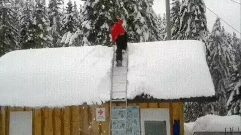 GIFparade LX GP60_26 