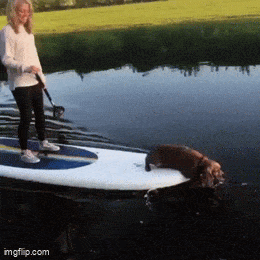 GIFparade LX GP60_39 