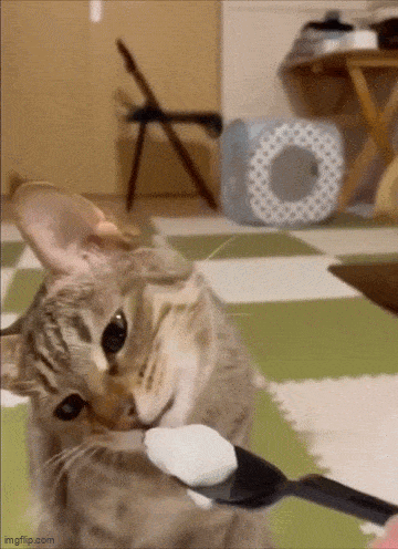 GIFparade LXI GP61_11 