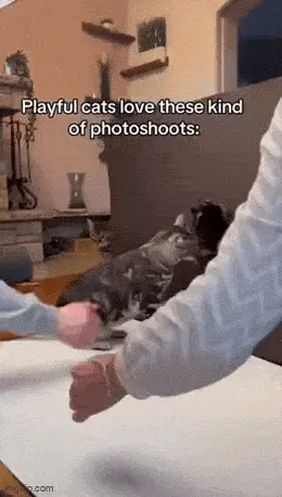 GIFparade LXI GP61_24 