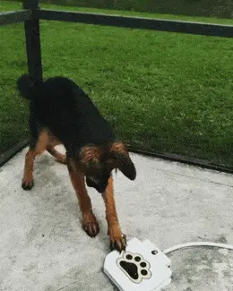 GIFparade LXI GP61_28 