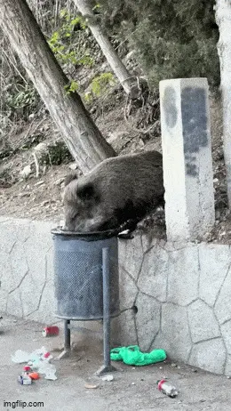 GIFparade LXI GP61_32 