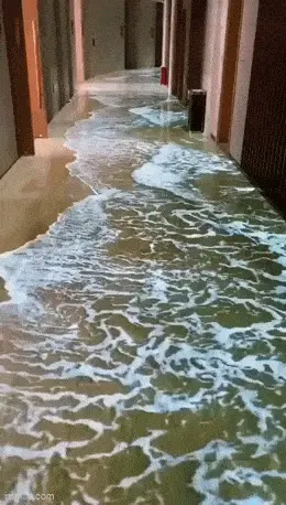 GIFparade LXI GP61_40 