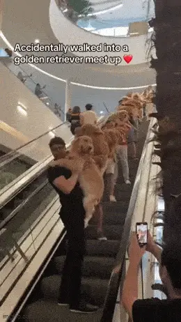 GIFparade LXII GP62_07 