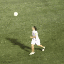 GIFparade LXII GP62_08 