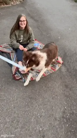 GIFparade LXII GP62_16 