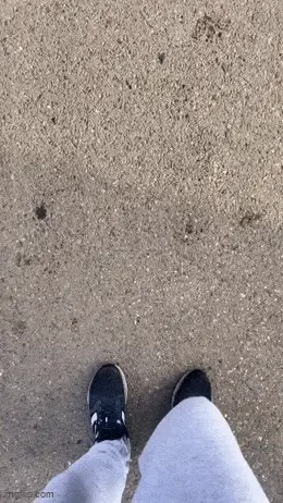 GIFparade LXII GP62_18 