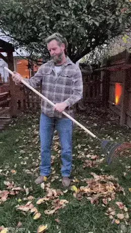 GIFparade LXII GP62_20 