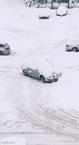 GIFparade LXII GP62_24 