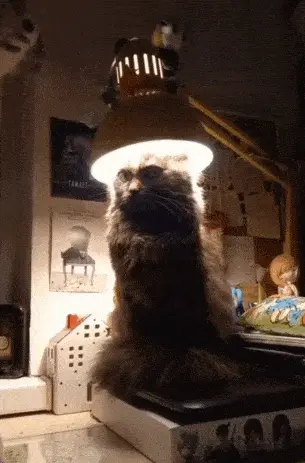 GIFparade LXII GP62_34 