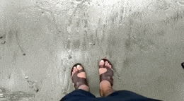 GIFparade LXIII GP63_15 