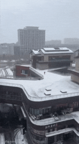 GIFparade LXIII GP63_24 