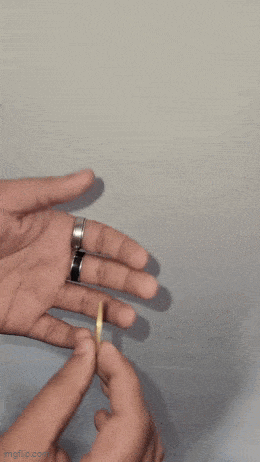 GIFparade LXIII GP63_33 