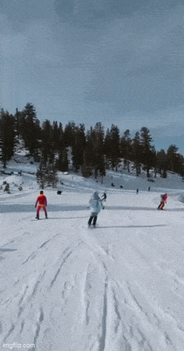 GIFparade LXIII GP63_35 