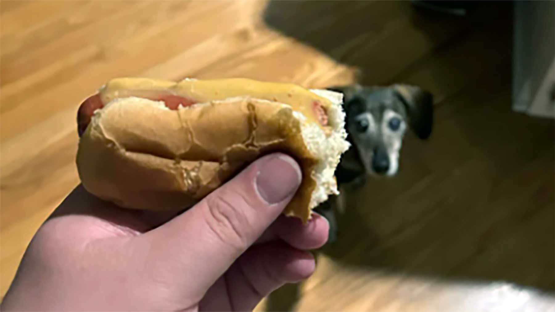 Bilderparade DCCXCII